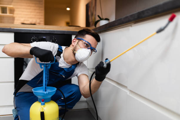 Best Emergency Pest Control  in Niverville, NY