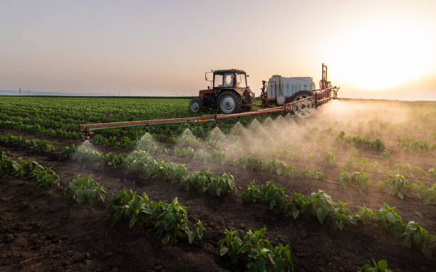 Best Insect Control  in Niverville, NY