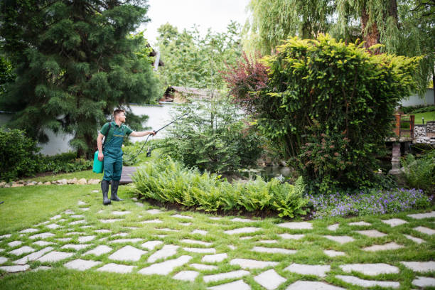 Best Best Pest Control Companies  in Niverville, NY