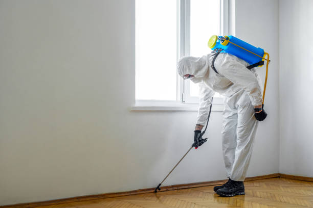 Best Emergency Pest Control  in Niverville, NY