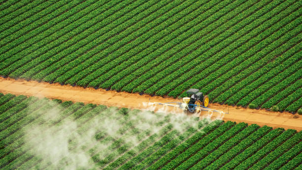 Best Insect Control  in Niverville, NY