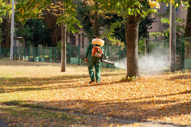 Best Pest Control Near Me in Niverville, NY