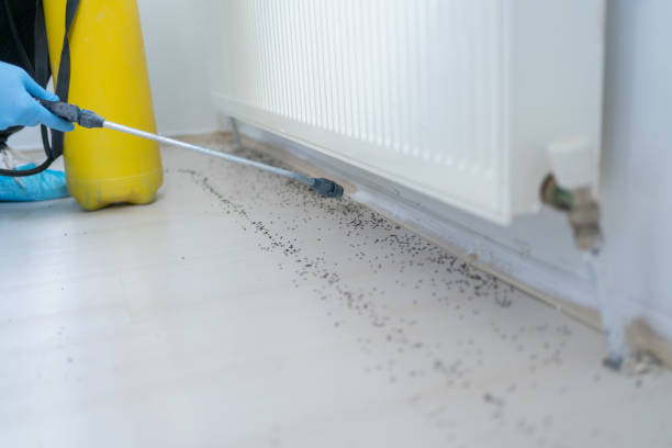 Best Commercial Pest Control Services  in Niverville, NY