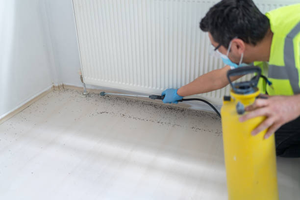 Flea Control Services in Niverville, NY