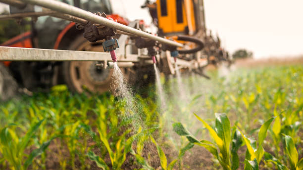 Professional Pest Control in Niverville, NY
